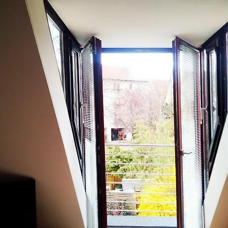 Διαμέρισμα Boardinghouse-modernes Dachstudio In Guter Lage Ερφούρτη