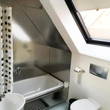 Boardinghouse-modernes Dachstudio In Guter Lage Διαμέρισμα Ερφούρτη
